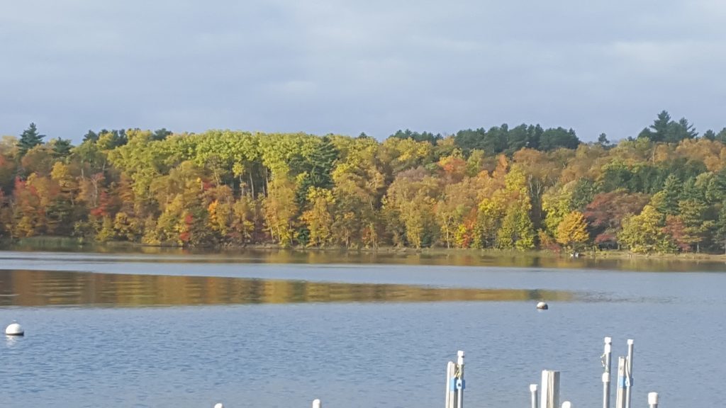 Fall colors on Seelye Point