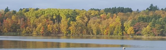 Fall colors, fall fishing, hunting, and fall rest and relaxation!