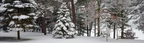 Winter has finally arrived at Eagle Nest Lodge